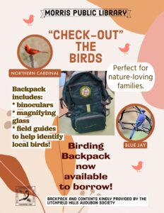 Backpack flyer